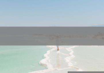 阳澄湖香烟批发部地址